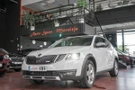 SKODA Scout Combi 2.0TDi 4X4 Scout Edition 150cv Aut DSG-7  ocasión