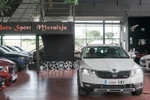 SKODA Scout Combi 2.0TDi 4X4 Scout Edition 150cv Aut DSG-7  ocasión