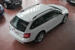 SKODA Scout Combi 2.0TDi 4X4 Scout Edition 150cv Aut DSG-7  ocasión