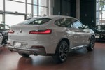 BMW X4 25dA xDrive Pack M Sport X 231cv Aut  outlet