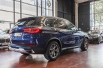 BMW X5 30dA xDrive xLine Travel Pack 265cv Aut  ocasión