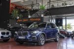 BMW X5 30dA xDrive xLine Travel Pack 265cv Aut  ocasión