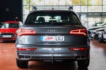 AUDI Q5 Competition 55 TFSI eQuattro 367cv  ocasión