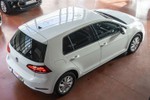 VOLKSWAGEN Golf 1.6TDi Edition Pack 116cv  ocasión