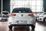 VOLKSWAGEN Golf 1.6TDi Edition Pack 116cv  ocasión