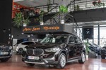 BMW X1 16dA sDrive Business Pack 116cv Aut  ocasión