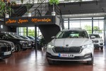 SKODA Octavia Scout 2.0TDI 150cv DSG 4x4  outlet