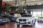 BMW X4 20dA Hybrid xDrive Pack M Sport · Connectivity Pack 190cv Aut  ocasión