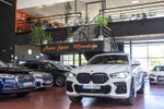 BMW X6  M50i Xdrive Pack M Sport · Comfort Plus & Travel II Packs 530cv Aut  ocasión