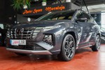 HYUNDAI Tucson 1.6 CRDI 136cv 48v Nline Sky DC  ocasión