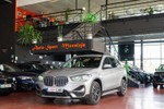 BMW X1 xDrive20D 190cv xLine  ocasión