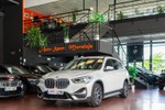 BMW X1 xDrive25e 220cv xLine  ocasión