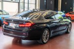 BMW Serie 5 520d xDrive 190cv Luxury  ocasión