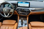 BMW Serie 5 520D 190cv Luxury  ocasión