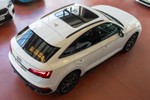 AUDI Q5 SportBack 35TDI 163cv sTronic Black Line  ocasión