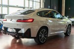 BMW X4 xDrive 20d 190cv Pack M  ocasión