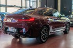 BMW X4 xDrive 20d 190cv xLine M Sport  ocasión